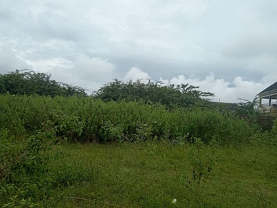 1 Acre of Land